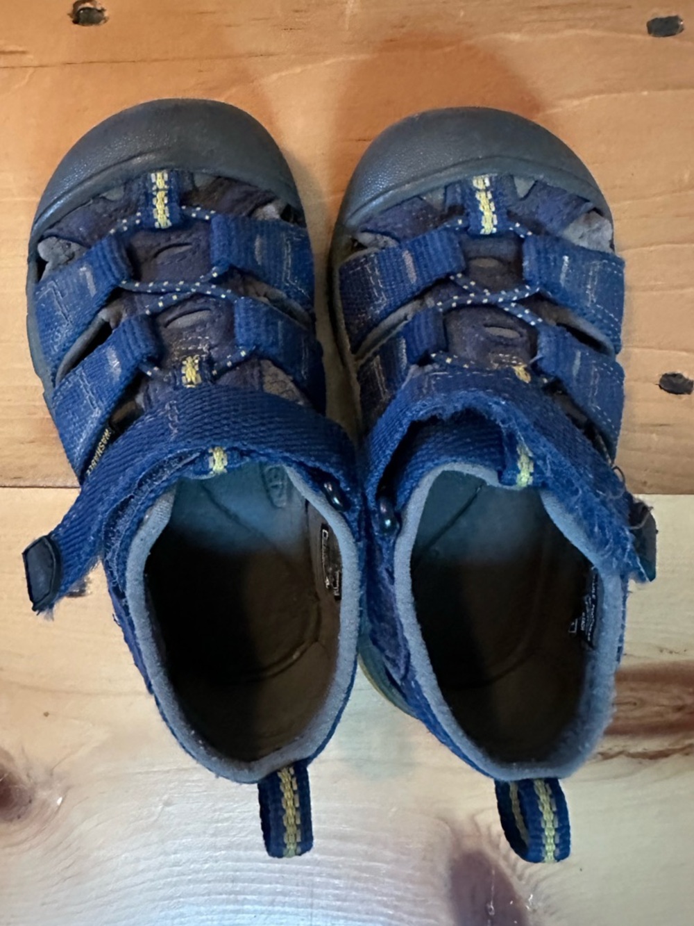 Keen Toddler Size Six Sandal Watershoe